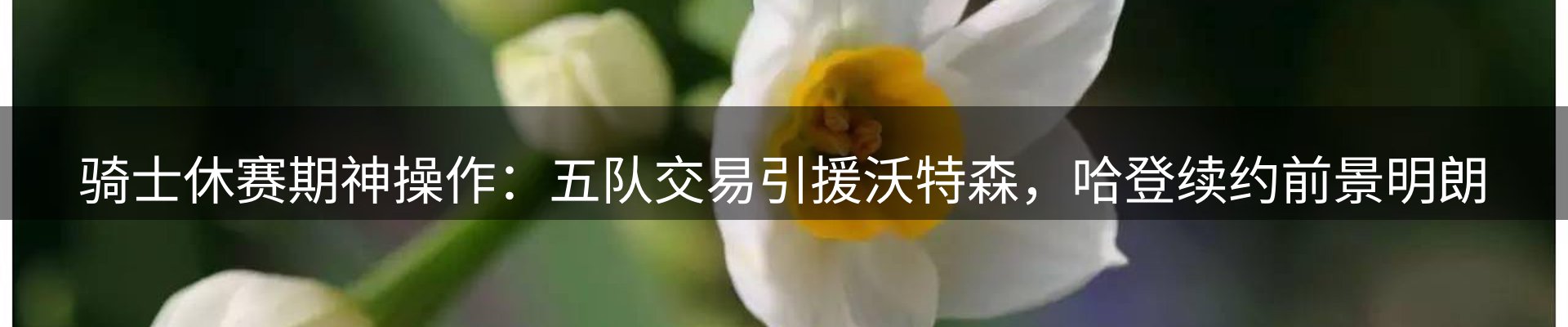 赛事资讯
