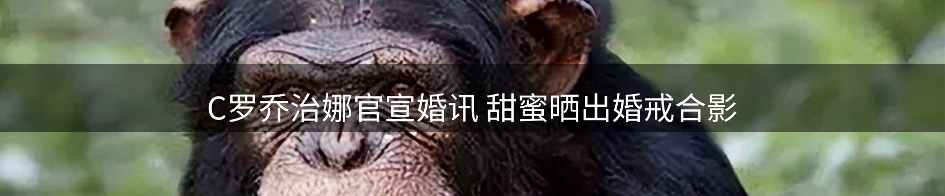 赛事资讯